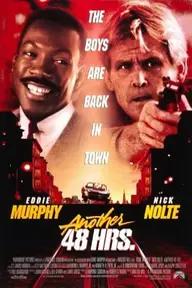 Movie poster of Another 48 Hrs.