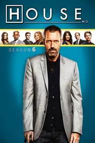 Movie poster of House (Season 6)