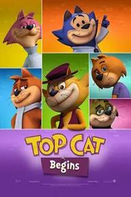 Movie poster of Top Cat Begins