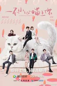 Movie poster of Accidentally Meow On You