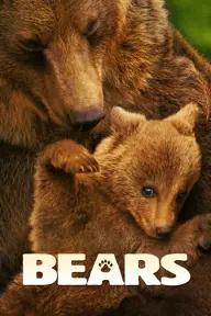 Movie poster of Bears