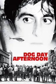 Movie poster of Dog Day Afternoon