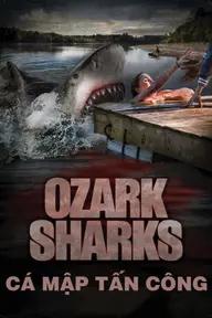 Movie poster of Summer Shark Attack