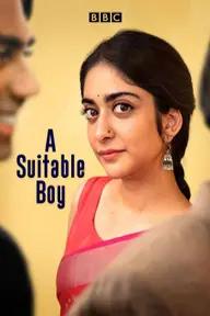 Movie poster of A Suitable Boy