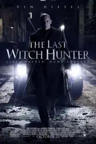 Movie poster of The Last Witch Hunter