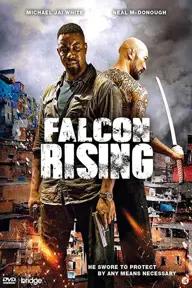 Movie poster of Falcon Rising