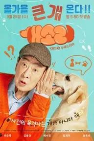 Movie poster of Dog Knows Everything