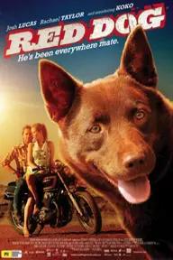 Movie poster of Red Dog