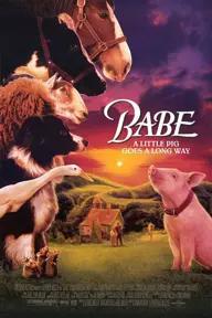 Movie poster of Babe