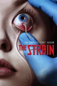 Movie poster of The Strain (Season 1)