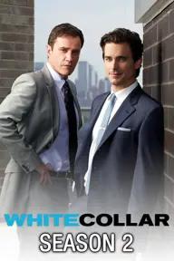 Movie poster of White Collar (Season 2)