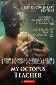 Movie poster of My Octopus Teacher