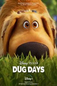 Movie poster of Dug Days