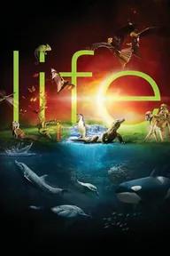 Movie poster of BBC: Life