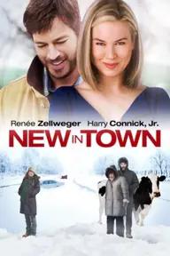 Movie poster of New in Town