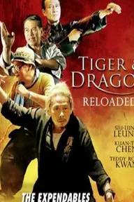 Movie poster of Tiger and Dragon Reloaded