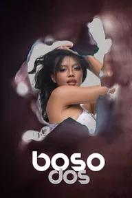 Movie poster of Boso Dos