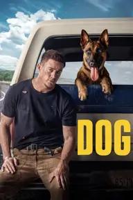 Movie poster of Dog