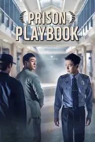 Movie poster of Prison Playbook