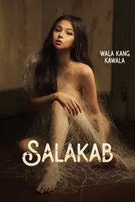 Movie poster of Salakab