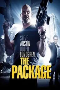 Movie poster of The Package