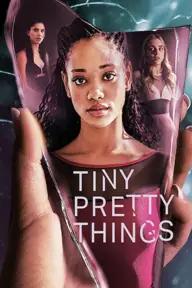 Movie poster of Tiny Pretty Things