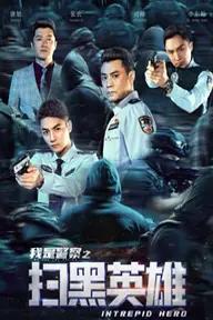 Movie poster of 扫黑英雄