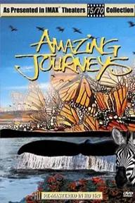 Movie poster of Amazing Journeys