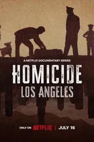 Movie poster of Homicide (Season 2)