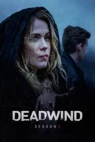 Movie poster of Deadwind (Season 2)