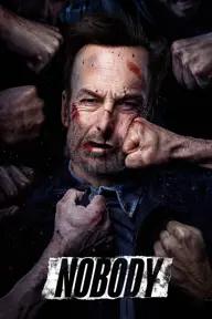 Movie poster of Nobody