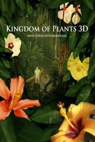 Movie poster of Kingdom of Plants