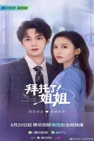 Movie poster of A Taste Of First Love