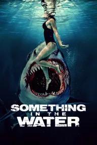 Movie poster of Something in the Water