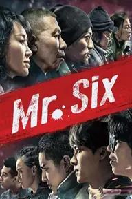 Movie poster of Mr. Six