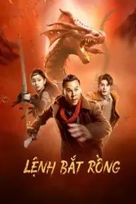 Movie poster of Catch the dragon