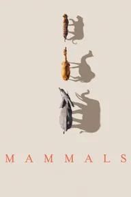 Movie poster of Mammals