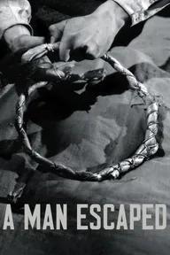 Movie poster of A Man Escaped