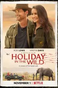 Movie poster of Holiday in the Wild