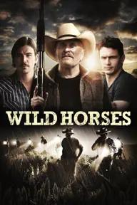 Movie poster of Wild Horses