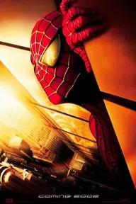 Movie poster of Spider-Man