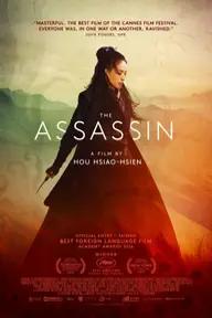 Movie poster of The Assassin