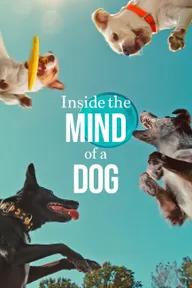 Movie poster of Inside the Mind of a Dog