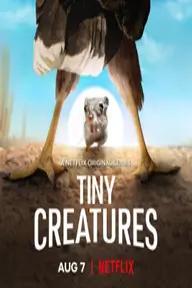 Movie poster of Tiny Creatures