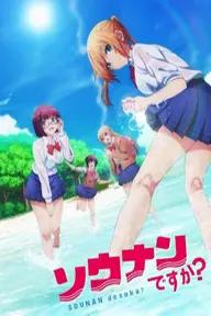 Movie poster of Sounan desu ka