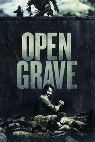 Movie poster of Open Grave