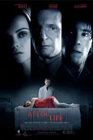 Movie poster of After Life