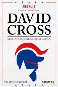 Movie poster of David Cross: Making America Great Again