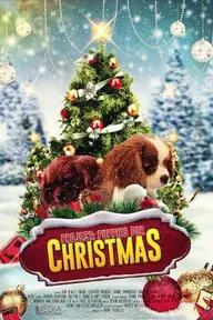 Movie poster of Project: Puppies for Christmas