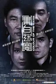 Movie poster of Colour Of The Game